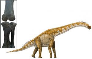 Рост динозавров недооценивали