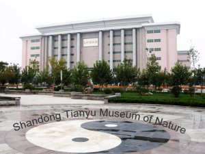Китайский палеонтологический музей занесен в Книгу рекордов Гиннеса