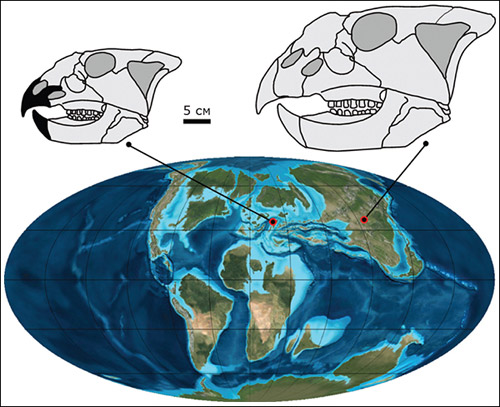 Ajkaceratops kozmai и Magnirostris