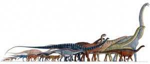 В Таиланде обнаружены кости динозавра, жившего в конце юрского периода