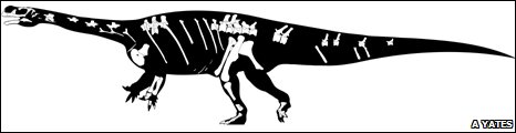 скелет Aardonyx celestae