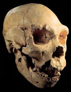 Древние люди вида Homo antecessor были каннибалами