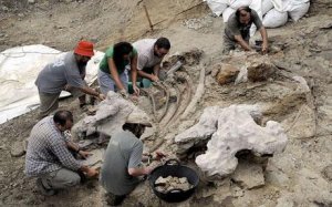 В Испании найден скелет зауропода