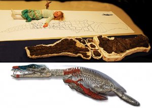 На Шпицбергене найдены новые кости гигантского плиозавра