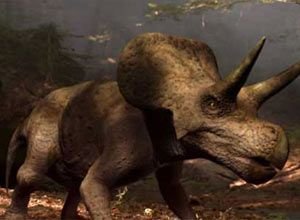 Канадские палеонтологи обнаружили новых цератопсов