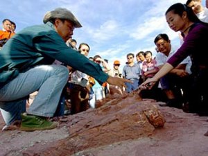 Китайцы защитили кладбище динозавров 1,5-километровой дамбой