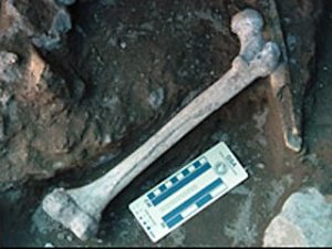 В Грузии нашли скелеты древних людей возрастом 1,8 миллионов лет