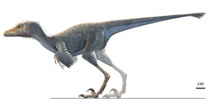 Найден маленький птицеподобный динозавр