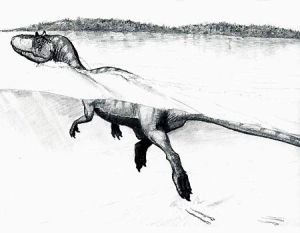 Двуногие динозавры умели плавать