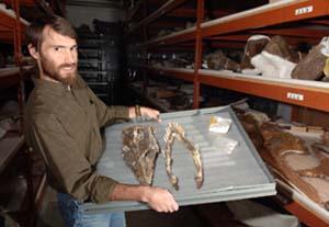 В США найден череп  длинношеего плезиозавра