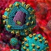 Вымерший вирус восстановлен из ДНК человека