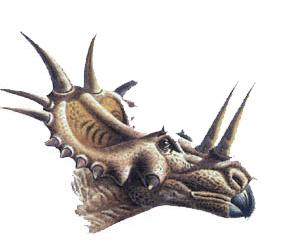 Цератопс с двумя рогами на носу