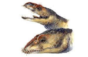 Новый род водных динозавров
