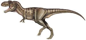 Контрабандный тарбозавр