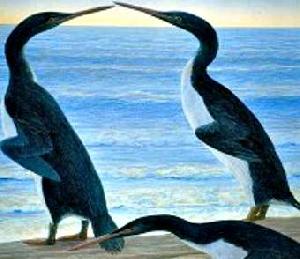 Пингвины застали гибель динозавров