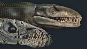 Обнаружен морской крокодил юрского периода