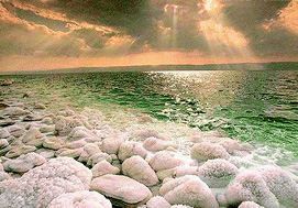 Покрытые солью камни на берегу Мертвого моря — это яркое свидетельство гиперсоленых условий, к которым приспособились его обитатели; в их числе и архебактерия Haloarcula marismortui, которая эксплуатирует особую биохимическую цепочку реакций для получения энергии и поддержания осмотического баланса. Фото с сайта www.rsc.org