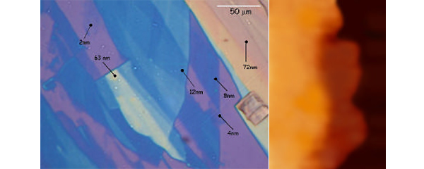 Рис. 3. Слева: фотография графитовой пластины неоднородной толщины. Справа: изображение графена, полученное с помощью атомно-силового микроскопа. Черная область соответствует подложке окисленного кремния, темно-оранжевый участок толщиной 0,5 нм — это графен, светло-оранжевый участок содержит несколько слоев графена и имеет толщину 2 нм. Изображения из дополнительных материалов к статье K. S. Novoselov, A. K. Geim et al. Electric Field Effect in Atomically Thin Carbon Films в Science