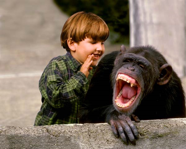 Человек выражает свои мысли словами, шимпанзе для выражения мыслей словами не пользуются. Ученые продолжают исследовать причины и механизмы смены этих коммуникативных методов. Фото с сайта languagetrainers.co.uk