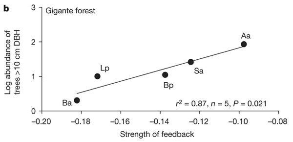Связь между силой отрицательного воздействия на рост проростков «своей» почвы (по горизонтали) и обилием вида (по вертикали) по данным полевого эксперимента в тропическом лесу в материковой части Панамы, недалеко от о-ва Барро-Колорадо. Редкие виды характеризуются более сильной реакцией, чем массовые. Обозначения видов: Aa — Apeiba aspera; Sa — Simarouba amara; Ba — Brosimum alicastrum; Bp — Beilschmiedia pendula; Lp — Lacmellea panamensis. Рис. из обсуждаемой статьи Mangan et al. (Nature. 2010. V. 466. P. 752–755)