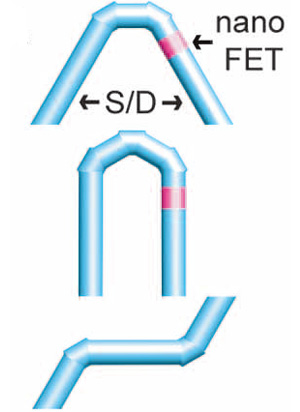 Схематичное изображение полевых транзисторов на основе кремниевой нанопроволоки. S (source) — исток, D (drain) — сток, nanoFET (nano field-effect transistor) — полевой нанотранзистор. Изображение из обсуждаемой статьи в Science
