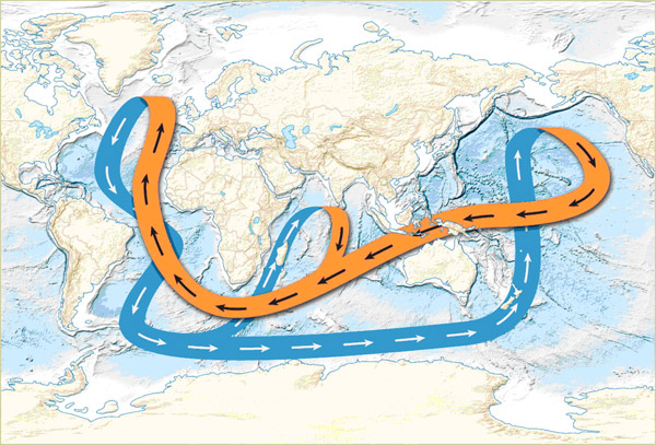 Рис. 2. Схема глобального океанического конвейера, или «петли Брокера», представляющая некое упрощение схема Стоммела. <i>Оранжевым</i> показаны верхние (идущие ближе к поверхности) теплые ветви течений, иним — нижние (идущие глубоко) холодные ветви течений. Ключевое место, где находится «термохалинный движитель» всего круговорота, это Северная Атлантика. Попадание сюда пресной воды из тающих ледников Гренландии грозит остановкой конвейера и, соответственно, очень сильным длительным похолоданием на севере Европы. По материалам Брокера (приведено в статье S. Lozier // Science. 2010. V. 328. P. 1507–1511).