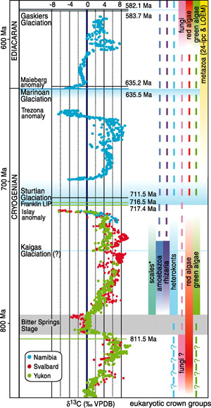Палеореконструкция: три события непротерозойских оледенений — Bitter Springs, Стертовское и Мариноанское — на фоне изотопной кривой C-13. Данные по изотопам изображены разноцветными точками, которые соответствуют отложениям из разных регионов (врезка внизу). Оледенения показаны голубым цветом, а зелеными тонкими линиями — полученные датировки. Справа на графике наложено распространение во времени различных групп микроорганизмов. Рисунок из обсуждаемой статьи в Science