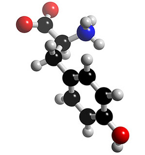 Тирозин — одна из 20 стандартных аминокислот, входящих в состав белков. Изображение с сайта www.3dchem.com