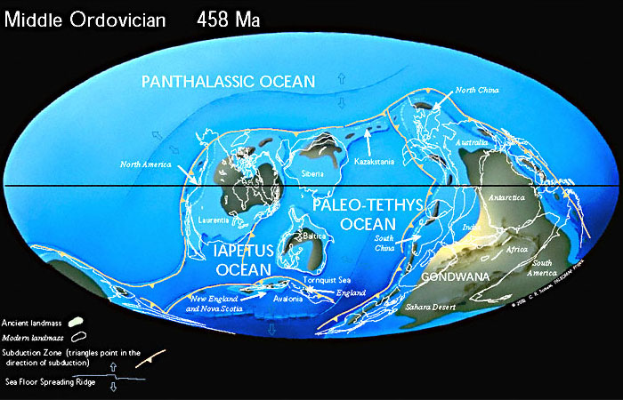 Положение континентов в середине ордовикского периода, когда растения начали осваивать сушу. Изображение с сайта www.scotese.com