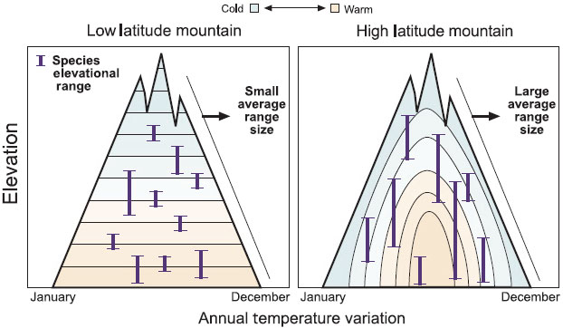Сезонных изменений температуры в тропиках (левый рисунок) практически нет, но в высоких широтах (правый рисунок) они выражены очень сильно. Соответственно, диапазоны высот, в пределах которых обитают животные, в тропиках узкие и незначительно перекрывающиеся, а в высоких широтах — широкие и сильно перекрывающиеся. Рис. из обсуждаемой статьи Кристи Маккейн
