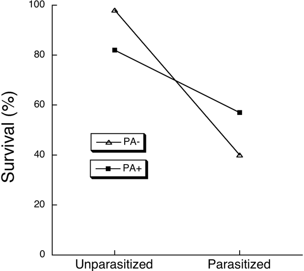 Выживаемость (survival) гусениц, не зараженных (unparasitized) и зараженных паразитом (parasitized), при потреблении синтетической пищи, не содержащей пирролизидиновый алкалоид (PA-) и содержащей его в концентрации 0,1% (PA+). Зараженным гусеницам этот алкалоид оказывается в целом полезен (потому что способствуют гибели паразитов), а не зараженным — вреден. Рис. из обсуждаемой статьи в PLoS ONE