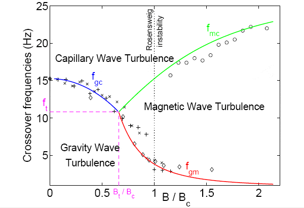 Рис. 5. Эволюция режима волновой турбулентности на поверхности феррожидкости при возрастании магнитного поля. Сплошными линиями показаны теоретические кривые, крестик, плюсик, кружок и ромб — точки, полученные опытным путем. Крестик соответствует частотному диапазону 1–4 Гц изменения случайной силы (возбудитель колебаний), ромб — 1–5 Гц и плюс или кружок — диапазону 1–6 Гц. Bt — индукция магнитного поля, выше которой проявляется магнитная волновая турбулентность, ft — соответствующее Bt значение частоты перехода гравитационной/капиллярной волновой турбулентности к магнитной. Для данной феррожидкости Bt = 0,65Bc и ft = 1,8 Гц. Рис. из обсуждаемой статьи в Phys. Rev. Lett.