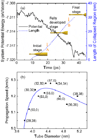 Рис. 3. (а) Временные зависимости потенциальной энергии и длины схлопнувшейся нанотрубки. (b) Скорость распространения доминошной волны для углеродных нанотрубок с разными диметрами и хиральностью. Максимум скорости (1,28 км/с) наблюдается в нанотрубке диметром около 4,5 нм. Теоретическая зависимость, полученная автором, показана синей сплошной линией. Рисунок из обсуждаемой статьи в Physical Review Letters