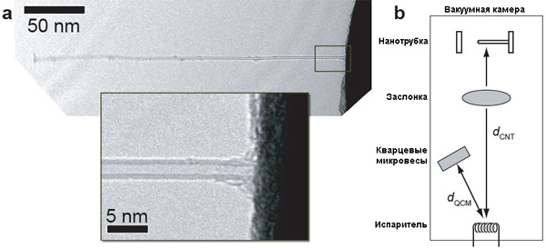 Рис. 1. a — изображение углеродной нанотрубки с двойными стенками, полученное просвечивающим электронным микроскопом. Благодаря хорошему разрешению микроскопа возможно с высокой точностью определить массу углеродной нанотрубки. b — устройство атомного сенсора массы (см. пояснения в тексте). Рисунок из обсуждаемой статьи