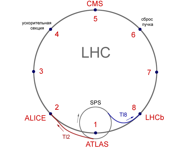 Общий план кольца LHC с предварительным ускорителем SPS. Стрелками показано направление движения протонов. (Рисунок автора новости)