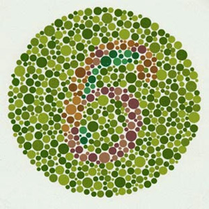 Тест на цветовое зрение. Человек с нормальным трихроматическим зрением должен увидеть здесь цифру 6. Человек, плохо различающий оттенки красного и зеленого, видит цифру 5. Я, например, пятерку вижу хорошо, а шестерку с трудом. Это зависит от того, насколько сильно отличаются друг от друга два опсиновых гена, расположенные на X-хромосоме. Дальтоников гораздо больше среди мужчин, потому что у них только одна X-хромосома (у женщин их две). Среди обезьян дальтоников почти нет, потому что естественный отбор отсеивает неспособных отличить спелый плод от незрелого и питательный красноватый листок от несъедобного зеленого. Рис. с сайта www.uni-mannheim.de