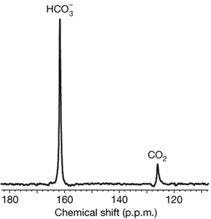 ЯМР-спектр 13С в опухолевой ткани. Благодаря химическому сдвигу четко разделены пики, отвечающие углероду в составе иона HCO3– и молекулы CO2. По относительной силе этих пиков можно определить pH ткани. Изображение из обсуждаемой статьи в Nature