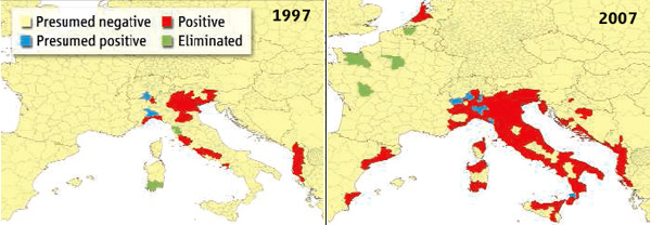 Карта распространения комара Aedes albopictus в Европе в 1997-м (вверху) и 2007-м (внизу) годах. Бежевым цветом показаны территории, где этот вид комара предположительно отсутствует (presumed negative), красным — где присутствует (positive), синим — где предположительно присутствует (presumed postitve), зеленым — где он встречался, но был уничтожен (eliminated). Иллюстрация из обсуждаемой статьи в Science