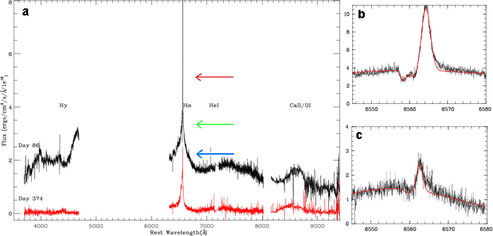 Рис. 2. Слева: Спектры сверхновой SN 2005 gj на 86-й и 374-й день после взрыва. Видно излучение в линиях водорода (H? и H?), гелия (He I), а также излучение в других линиях, возможно кальция (Ca II) и кислорода (O I). Справа: линия водорода H? на 86-й (вверху) и 374-й (внизу) день. Рис. из обсуждаемой статьи C. Trundle, et al.