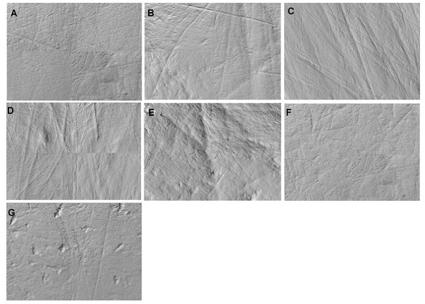 Участки поверхности зубной эмали у семи особей P. boisei со следами прижизненного «микроизноса». Размер каждого участка 276 x 204 микрометров. Фото из обсуждаемой статьи в PLoS ONE