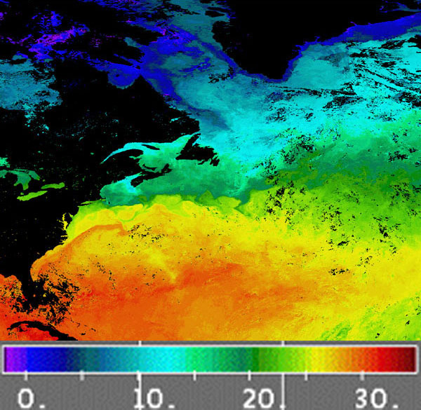 Поверхностная температура в северо-западной части Атлантического океана. Средние величины (в градусах Цельсия) в период с 6-го по 13 сентября 2001  года. Красным и желтым показаны теплые воды, синим — холодные, зеленым — промежуточные температуры. Данные со спутника «Терра» (Terra). Рис. © Ronald Vogel, SAIC for NASA GSFC с сайта earthobservatory.nasa.gov