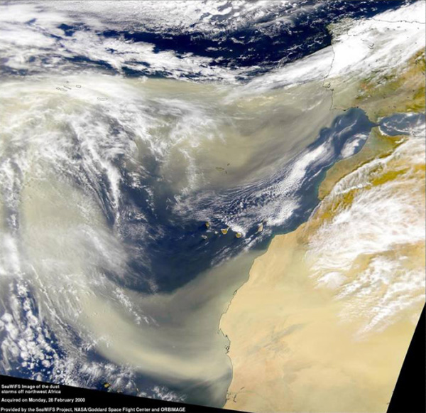 Буря в северо-западной Африке. На снимке НАСА, сделанном со спутника 28 февраля 2000 года, видно, как облака пыли из района Сахары сносятся ветром на запад, в Атлантический океан. Попадающая в центральные районы океана пыль — важнейший источник биогенных элементов, прежде всего фосфора и железа, необходимых для развития фитопланктона. Фото с сайта www.nasa.gov