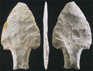 «Рыбообразный» наконечник, найденный в Белизе. Фото с сайта lithiccastinglab.com