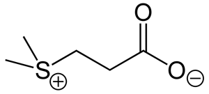 Схема строения молекулы диметилсульфониопропионата (ДМСП). Рис. с сайта en.wikipedia.org