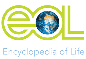 Логотип «Энциклопедии жизни», появившейся в сети 26 февраля 2008 года. Изображение с сайта Лаборатории морской биологии в Вудс-Хоуле (www.mbl.edu) — организации, ответственной за техническую реализацию этого проекта