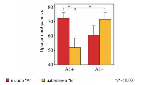 Люди с пониженным числом дофаминовых рецепторов (А1+) научились уверенно выбирать «хороший» символ А (высокий красный столбик слева), но не научились избегать «плохого» символа Б (низкий желтый столбик). Люди с нормальным числом дофаминовых рецепторов (А1–) одинаково хорошо научились тому и другому (различия между двумя правыми столбиками — желтым и красным — статистически не достоверны). Достоверные различия отмечены звездочками. Рис. из обсуждаемой статьи в Science