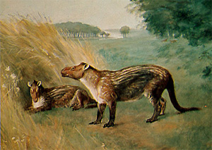  (Phenacodus)     ,    (5640  ).    (Charles R. Knight), 1898.    cache.eb.com