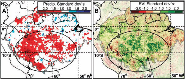 A — количество осадков в Амазонии летом 2005 года. Цветовая шкала показывает величину отличия наблюдаемого количества осадков от среднего уровня за период с 1998-го по 2006 год (чем краснее, тем сильнее засуха). B — интенсивность фотосинтеза в тот же период времени (чем зеленее, тем интенсивнее). Рис. из обсуждаемой статьи в Science