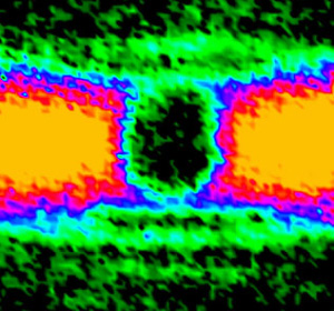 Рис. 2. Распределение плазмонного поля в искусственных цветах. Поток набегающих слева плазмонов обтекает центральную часть устройства, а затем смыкается снова и идет вперед. В центральную часть лучи почти не заходят. Изображение из обсуждаемой статьи