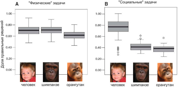 Эффективность решения физических и социальных задач у детей, шимпанзе и орангутанов. Кружками обозначены результаты, резко выбивающиеся из «типичного» диапазона для данного вида. Рис. из обсуждаемой статьи в Science